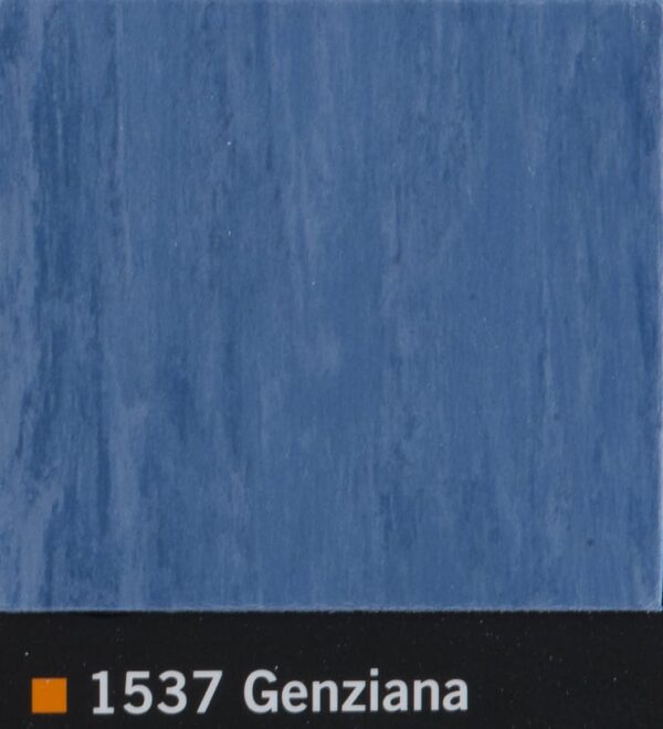 1537 Genziana