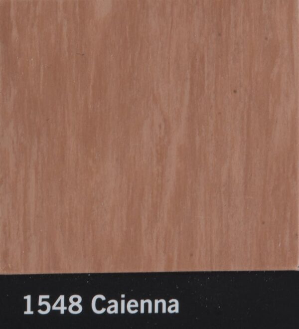 1548 Caienna