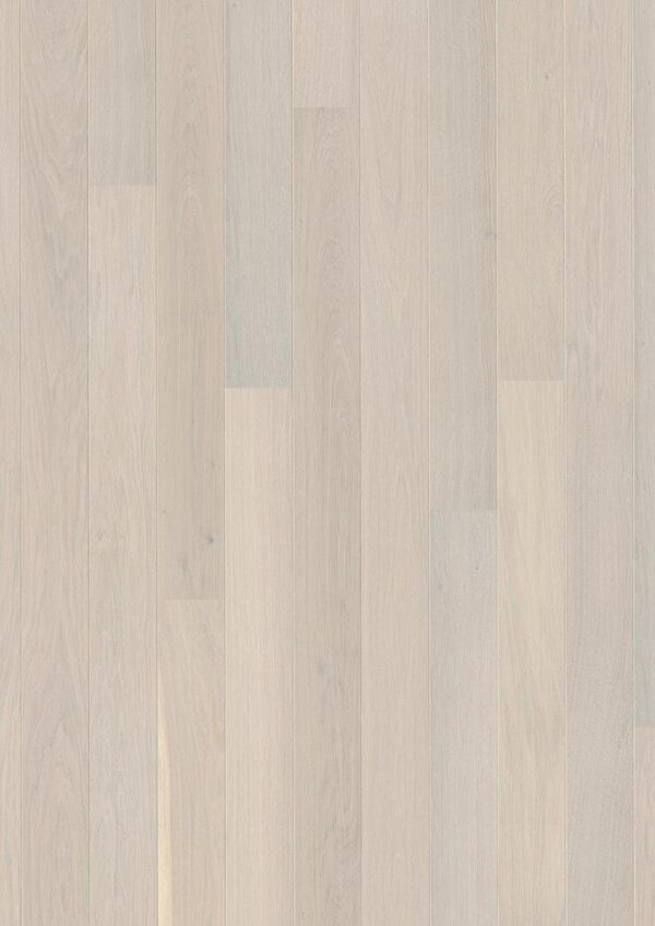 EBG836FD Oak Andante white Plank LP
